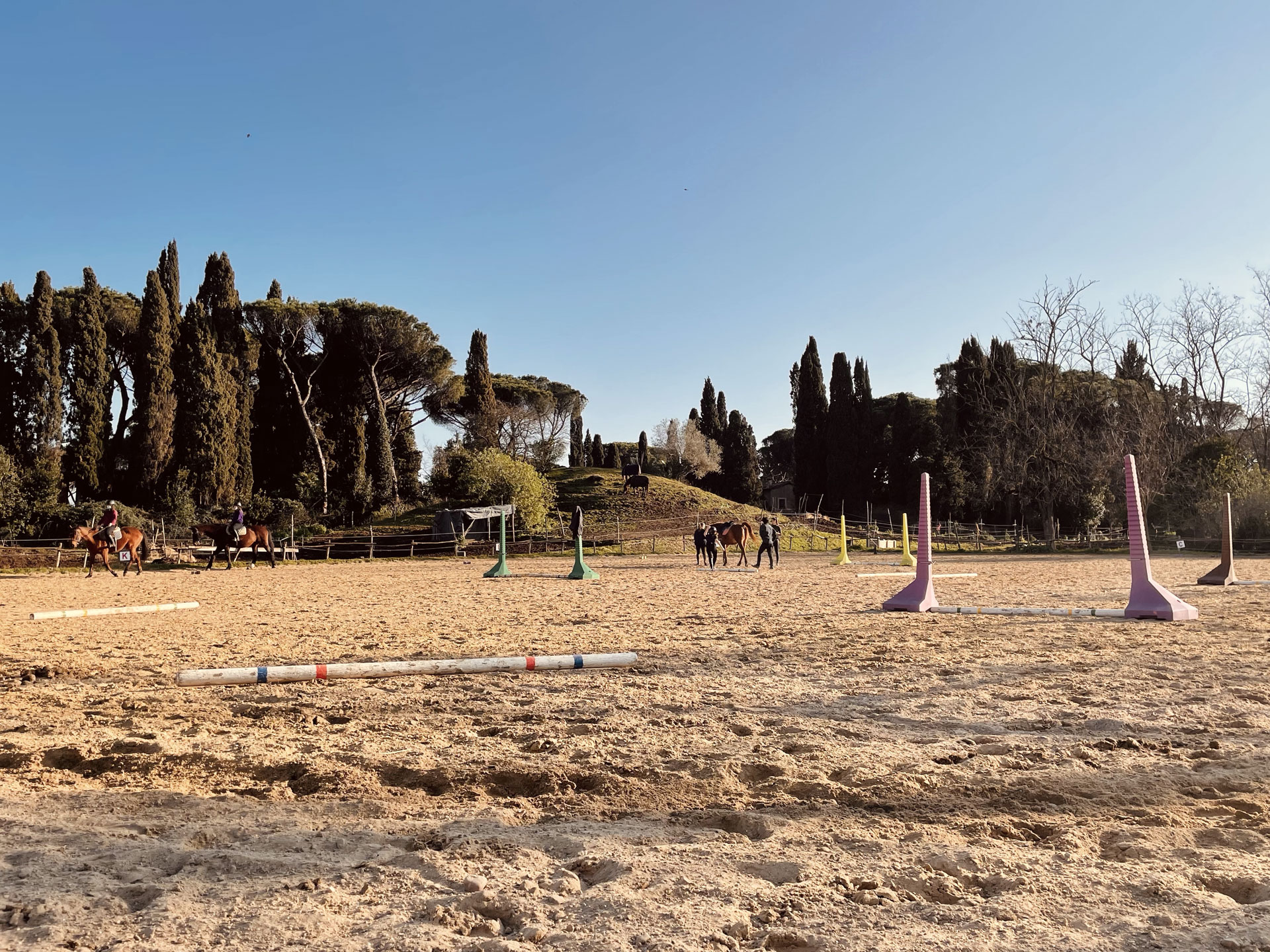 Cavalieri Appia Antica | Scuola di equitazione | Lezioni